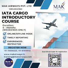 pilot training